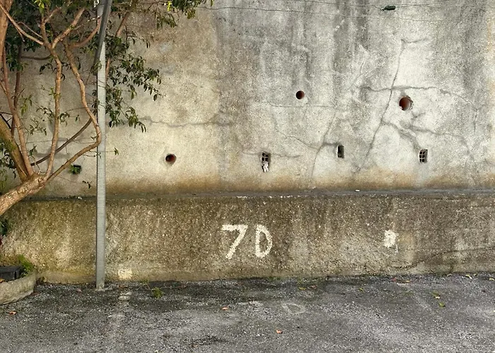 Hostdomus - Blue Wave *